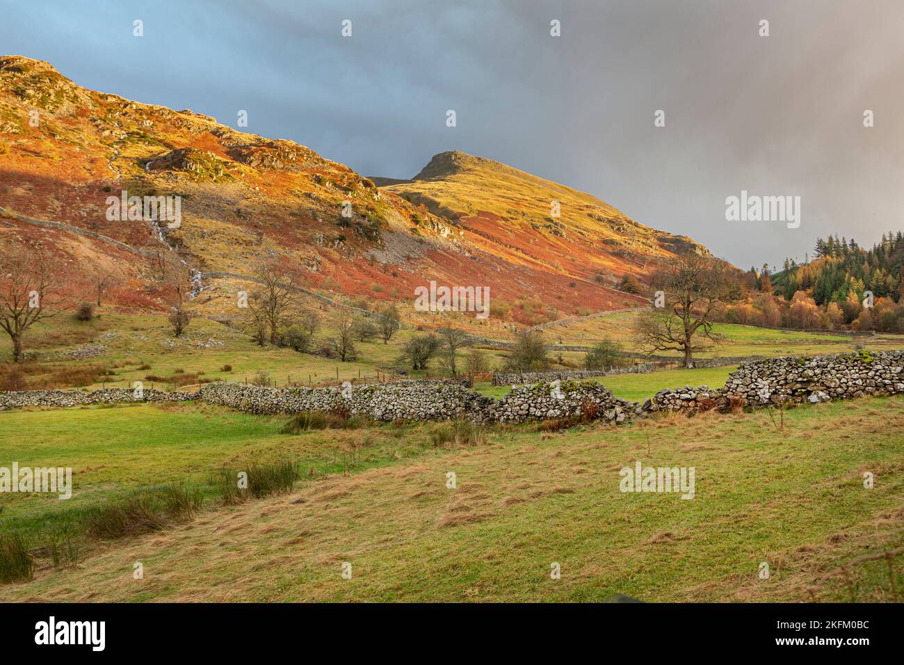 Moorland and stone walls in The Lake District, Cumbria. Stock Photo
