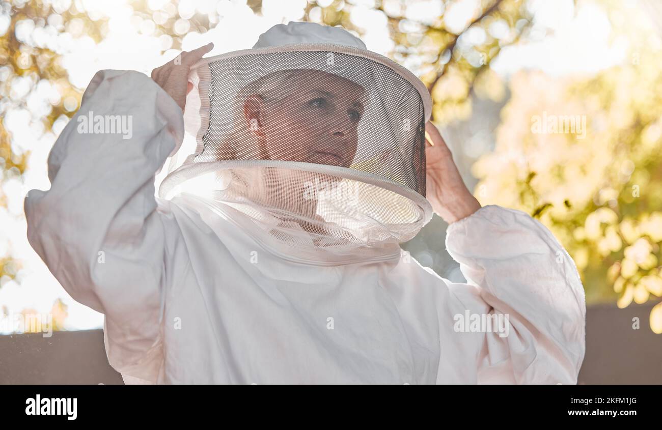 Agriculture, work and beekeeper farm safety suit for protection, production and harvesting. Nature, worker and beehive woman expert getting ready for Stock Photo