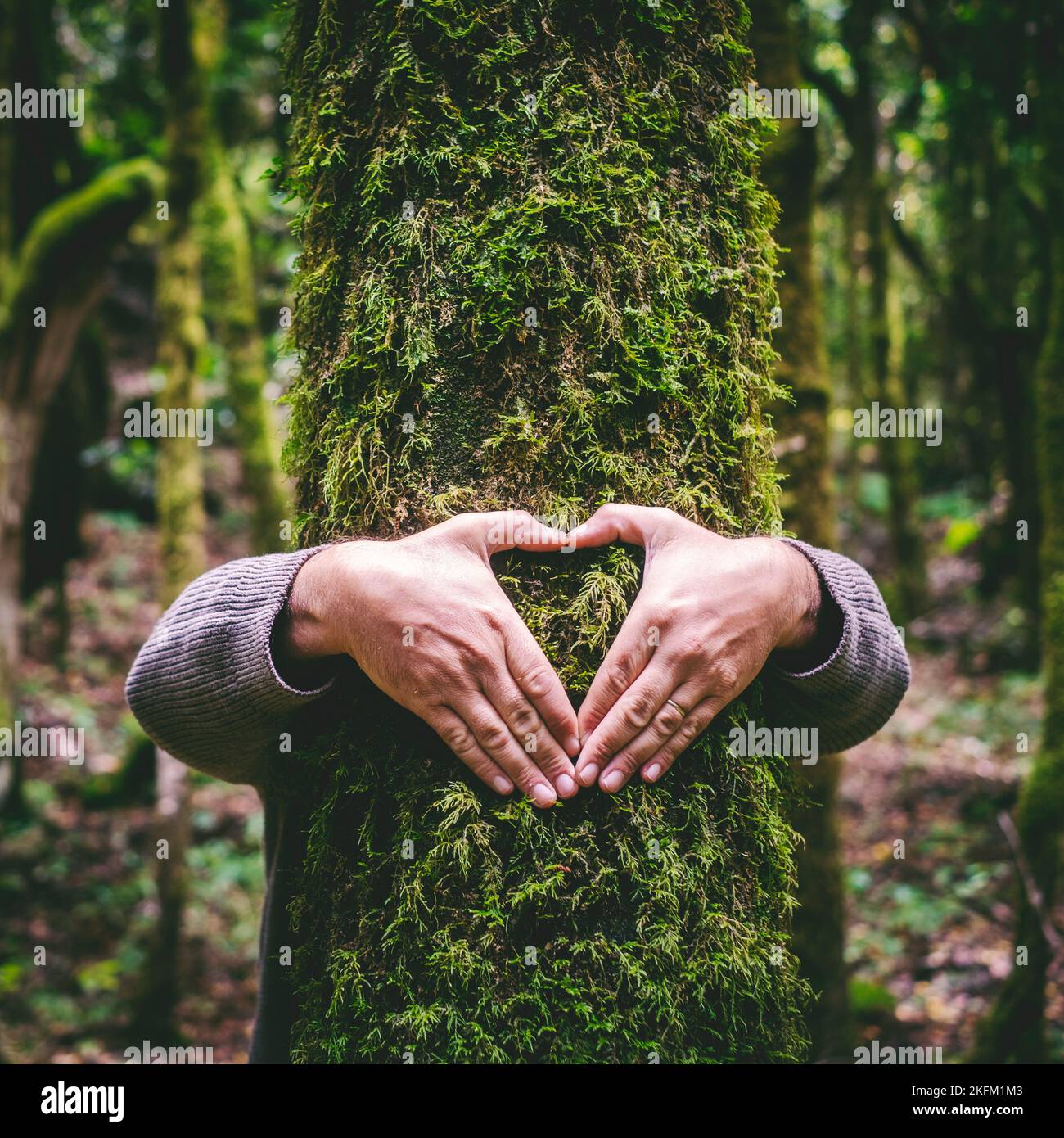 One man hugging a green tree trunk doing heart gesture with hands. People and love respect for nature forest and environment lifestyle. Environmentali Stock Photo