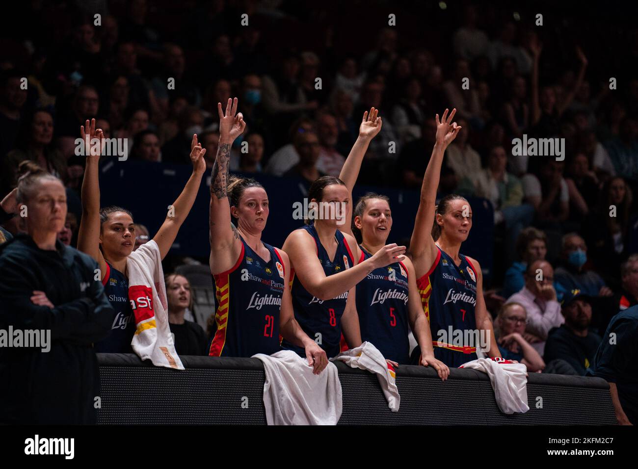 Adelaide, South Australia, November 19th 2022 Adelaide Lightning