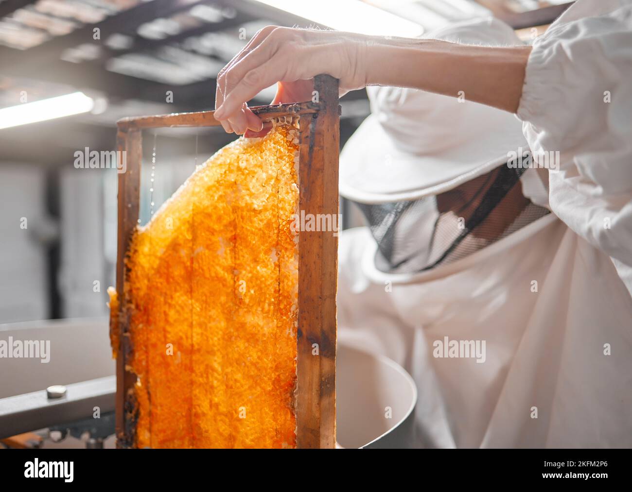 Frame factory hires stock photography and images Alamy