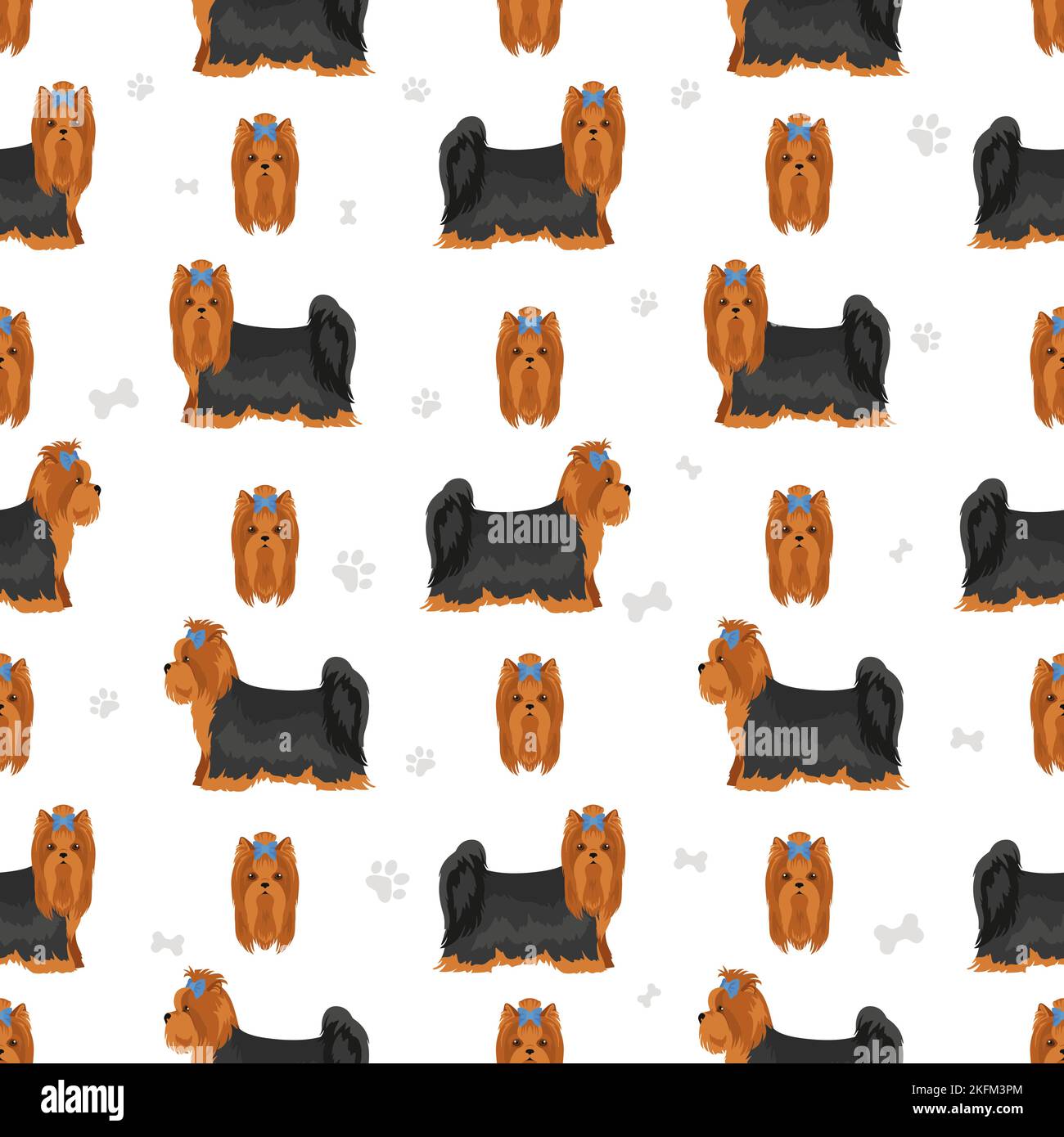 Yorkshire Terrier seamless pattern. Different poses, coat colors set