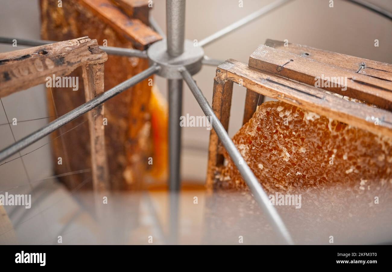 Honey, farm and production with extract in equipment for bee