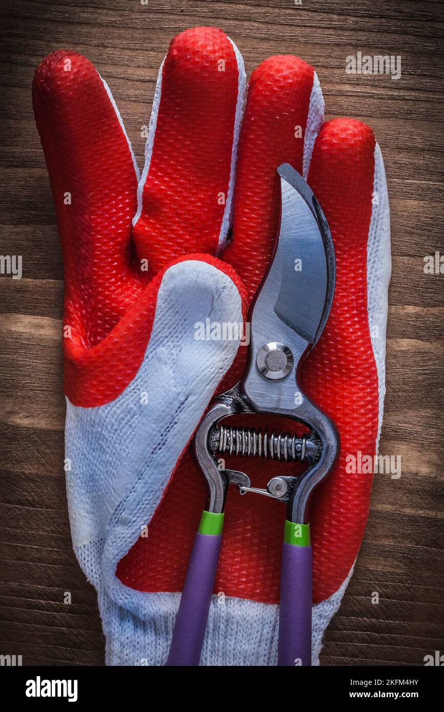 Gardening glove and metal secateurs on wood board. Stock Photo