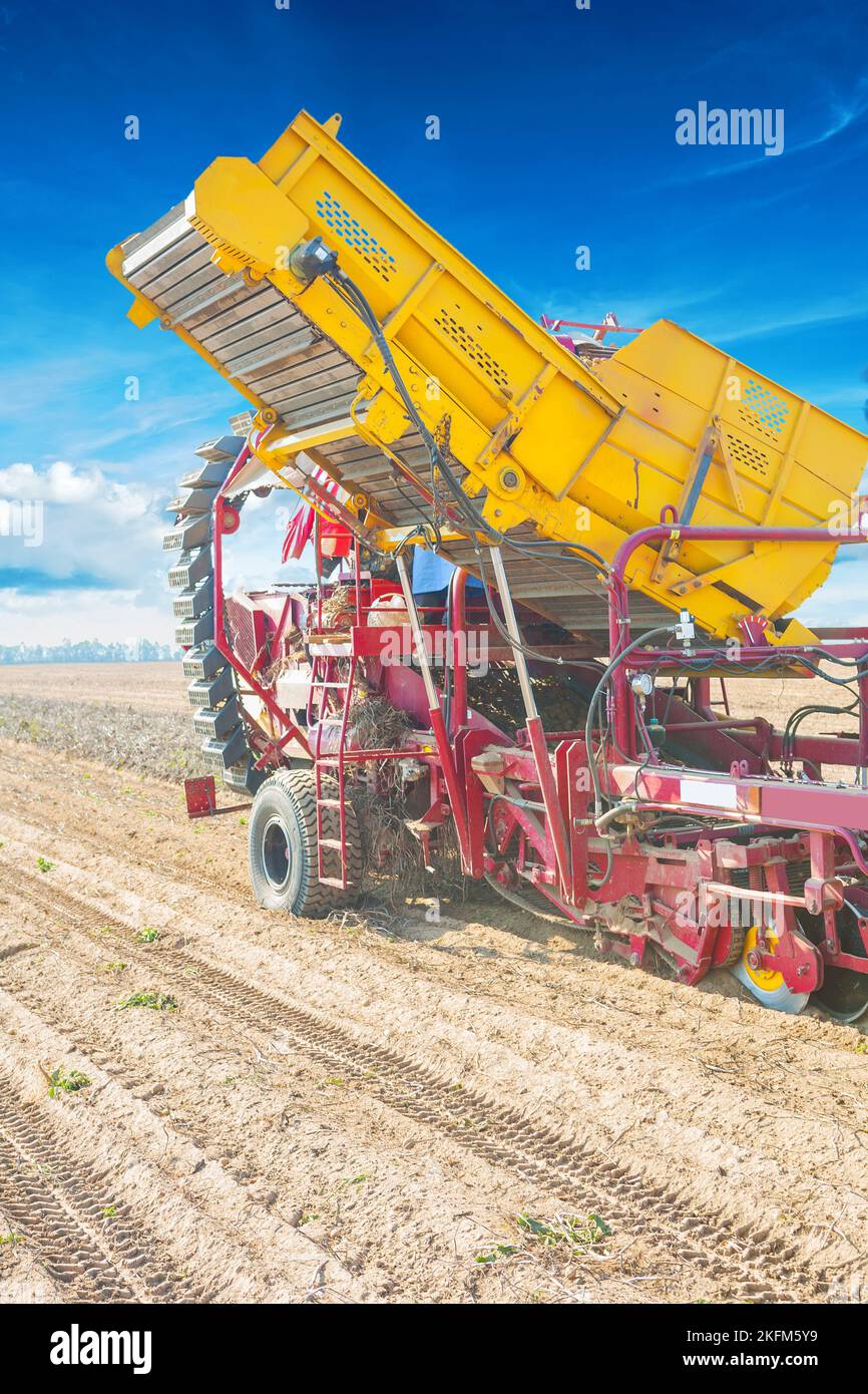 Loading potato planting machine hires stock photography and images Alamy