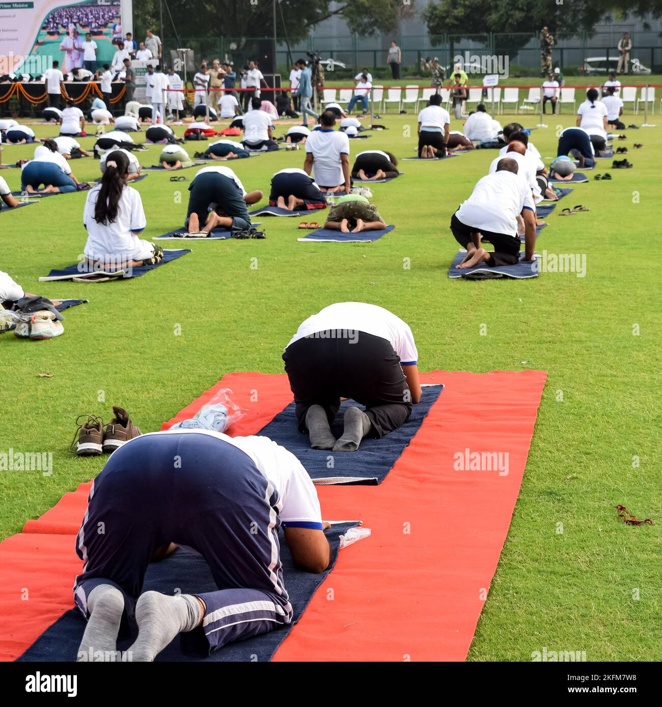 Group Yoga exercise session for people of different age groups at cricket stadium in Delhi on International Yoga Day, Big group of adults attending yo Stock Photo