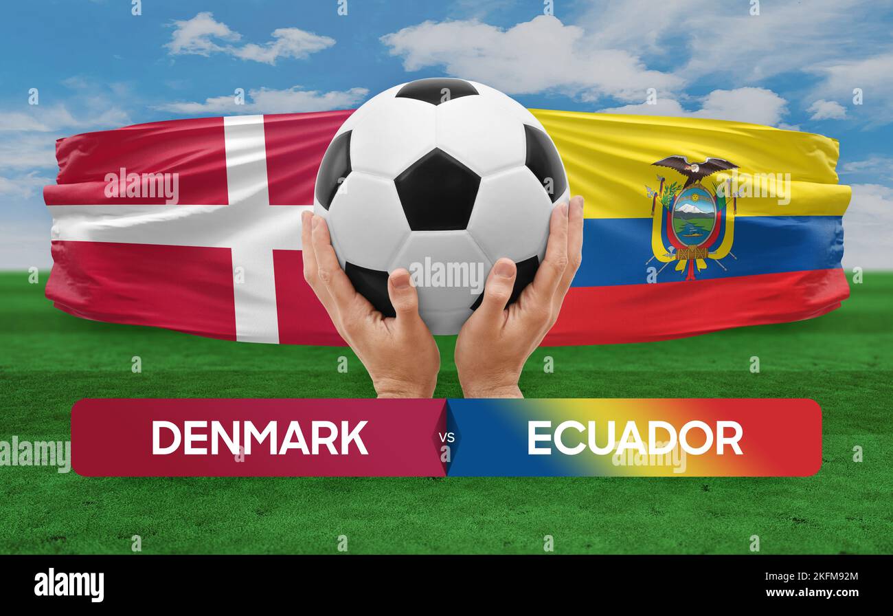 Denmark vs Ecuador national teams soccer football match competition