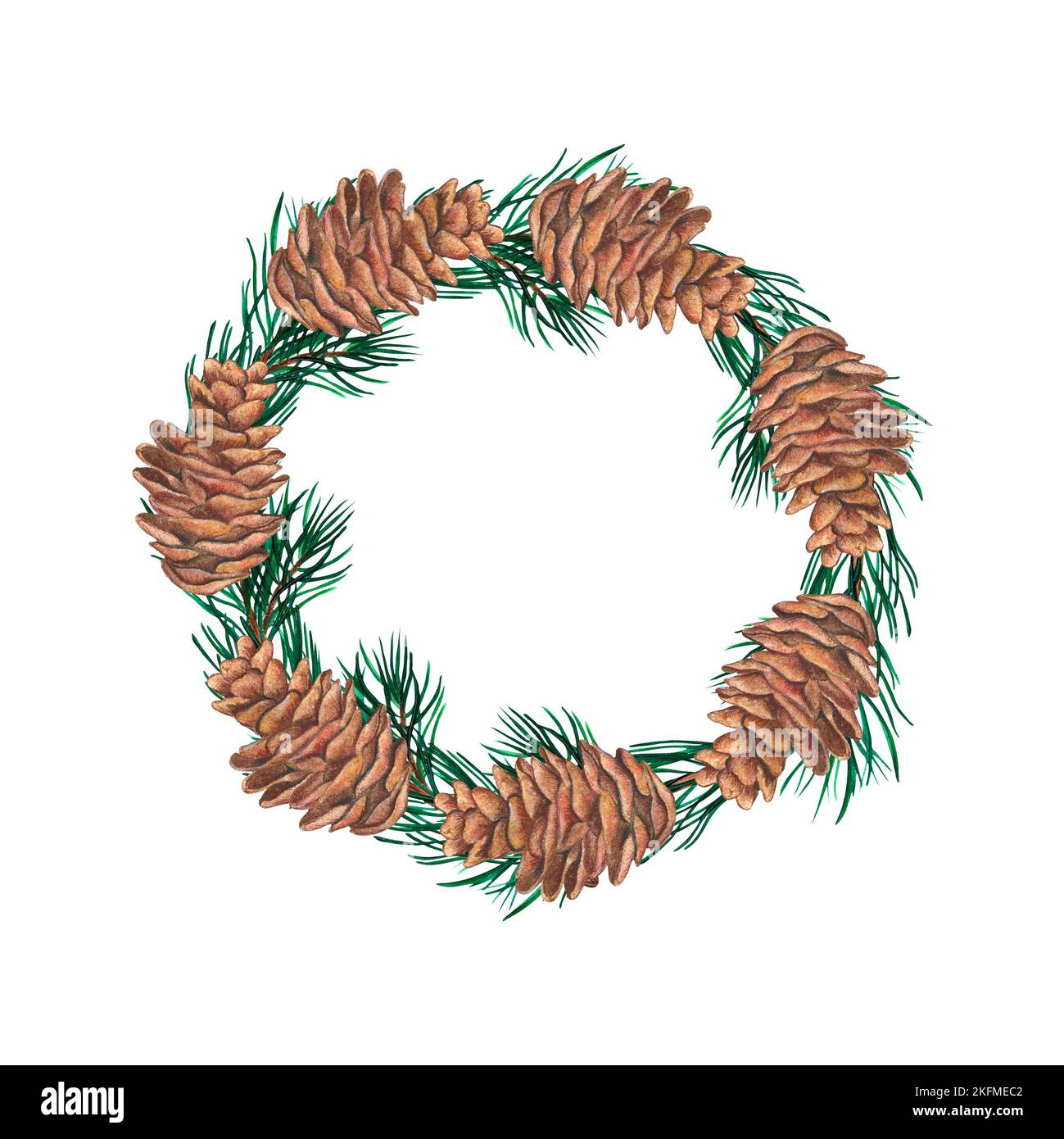 wreath of green spruce branches and cones on isolated white background ...