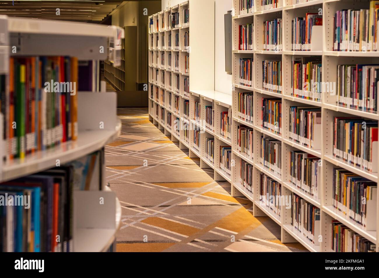 Sheikh Bin Rashed Library Dubai, UAE - 10.15.2022 - At Sheikh Mohammed Bin Rashid public library ...