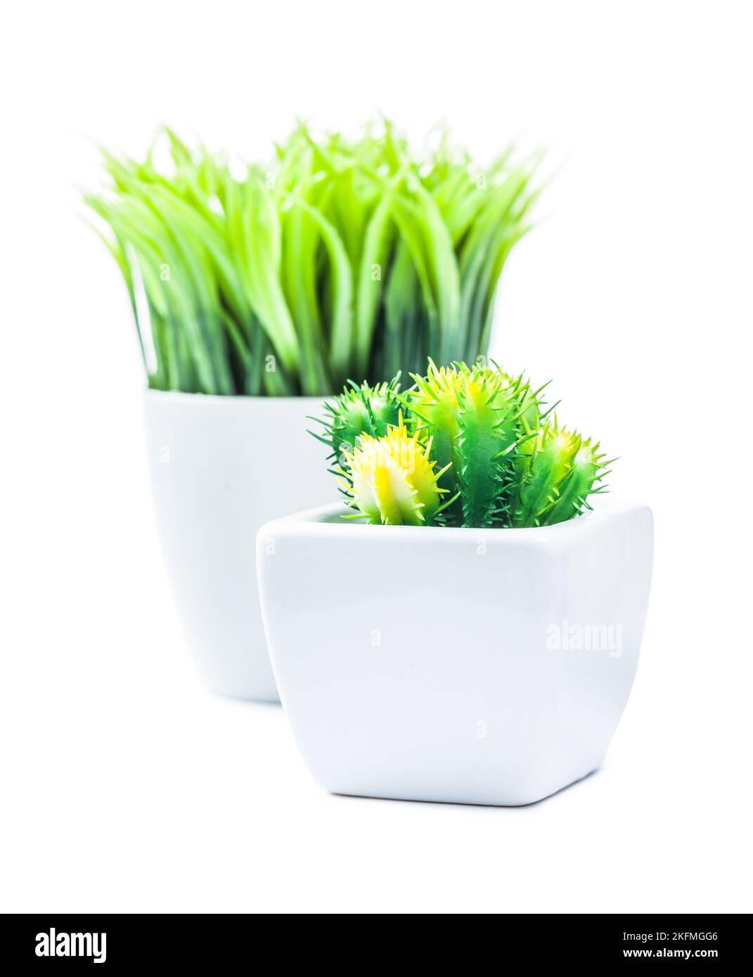 verticla image plastic plants in white ceramic pots isolated Stock