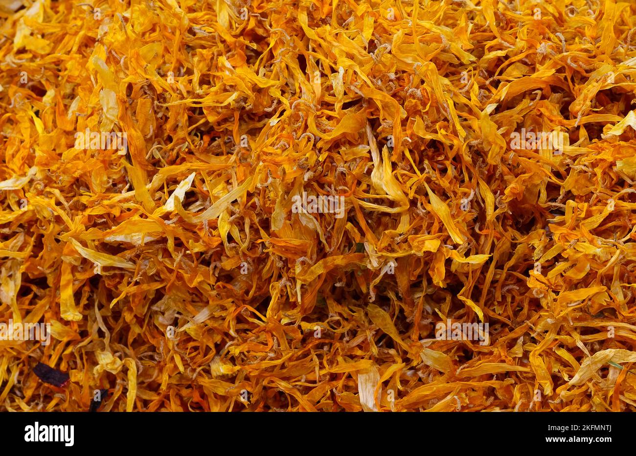 background of dried flowers for the very expensive SAFFRON spice to
