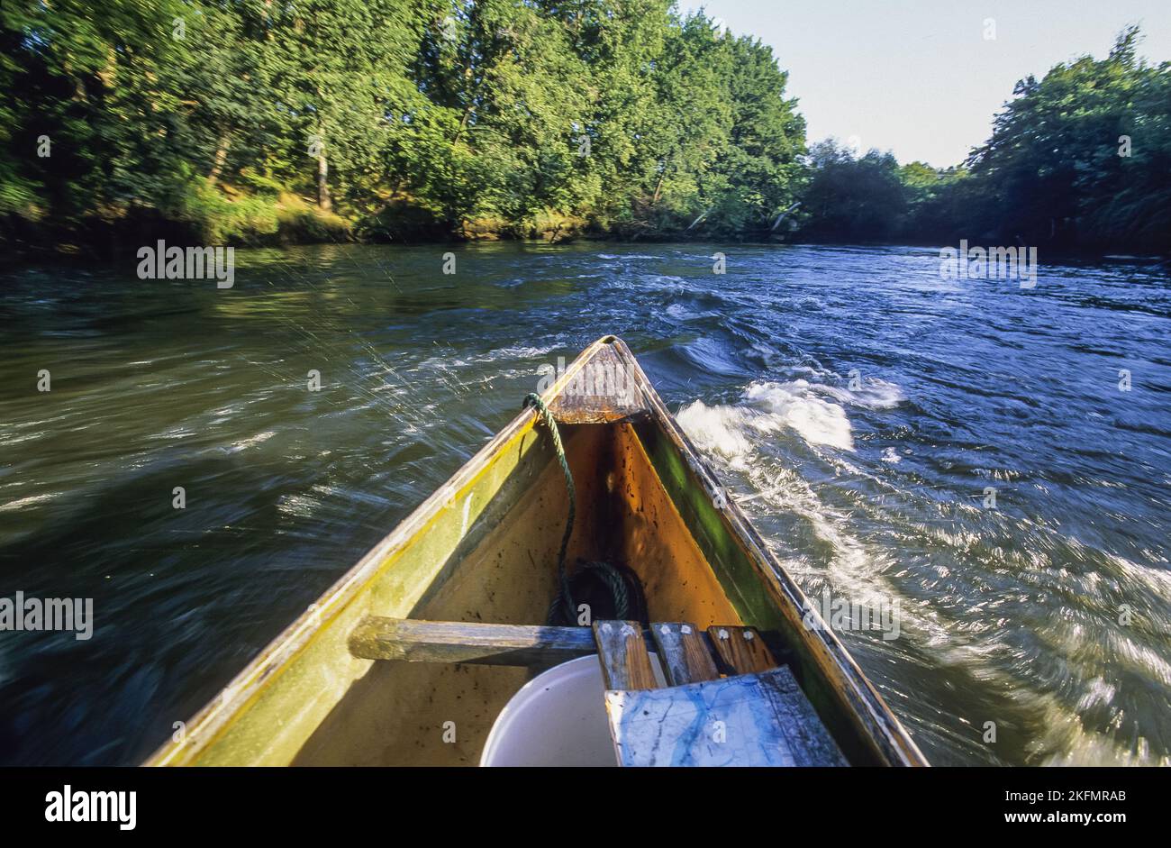 France. Aquitaine. Gironde (33). Bassin d'Arcachon. Canoeing down the river Leyre which flows into the Arcachon basin Stock Photo