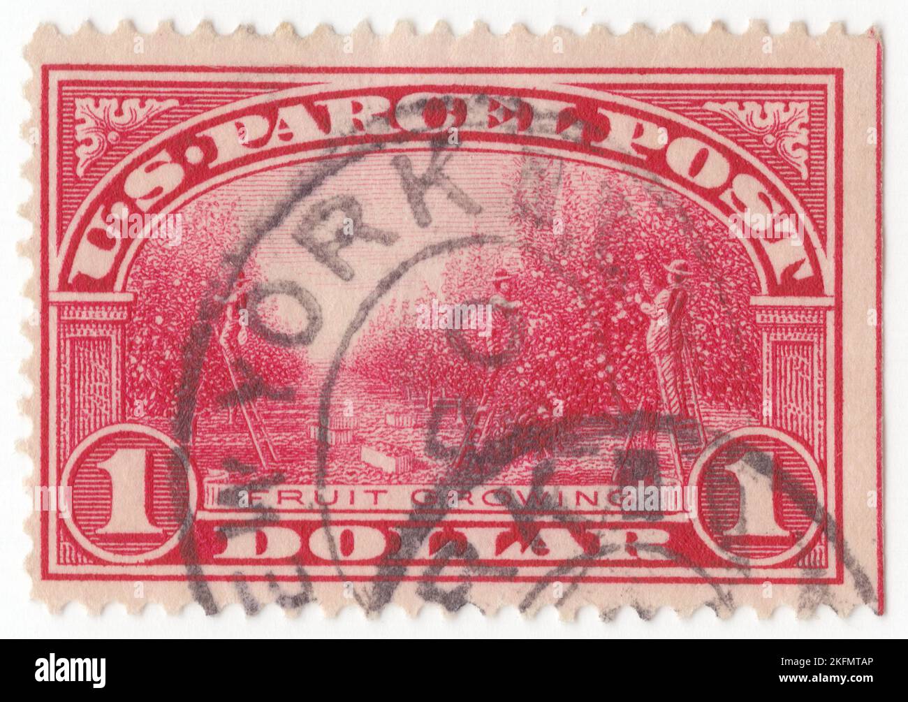 USA - 1913: An 1 dollar carmine-rose Parcel Post stamp depicting Fruit Growing. Issued for the prepayment of postage on parcel post packages only. Parcel post is a postal service for mail that is too heavy for normal letter post. It is usually slower than letter post. The development of the parcel post is closely connected with the development of the railway network which enabled parcels to be carried in bulk, to a regular schedule and at economic prices. Today, many parcels also travel by road and international shipments may travel by sea or airmail Stock Photo