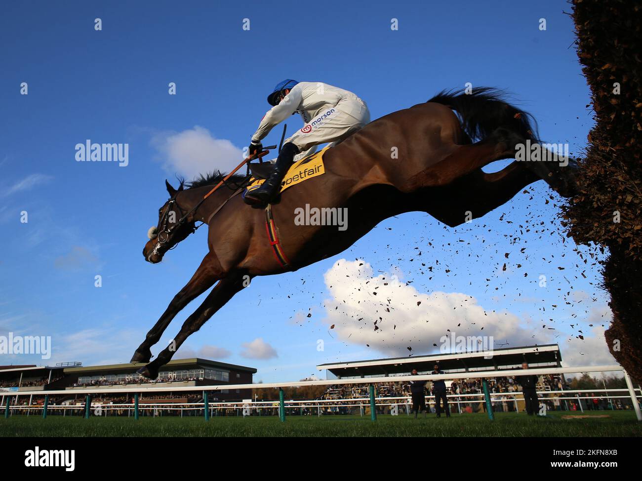 Hitman ridden by Harry Cobden on the way to winning the Get Daily Rewards With Betfair Graduation Chase on Betfair Chase Day at Haydock Park Racecourse, Newton-le-Willows. Picture date: Saturday November 19, 2022. Stock Photo
