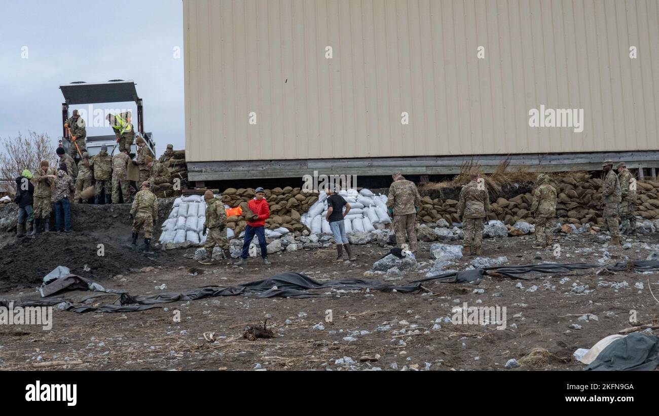 Alaska Air and Army National Guardsmen, assigned to Joint Task Force