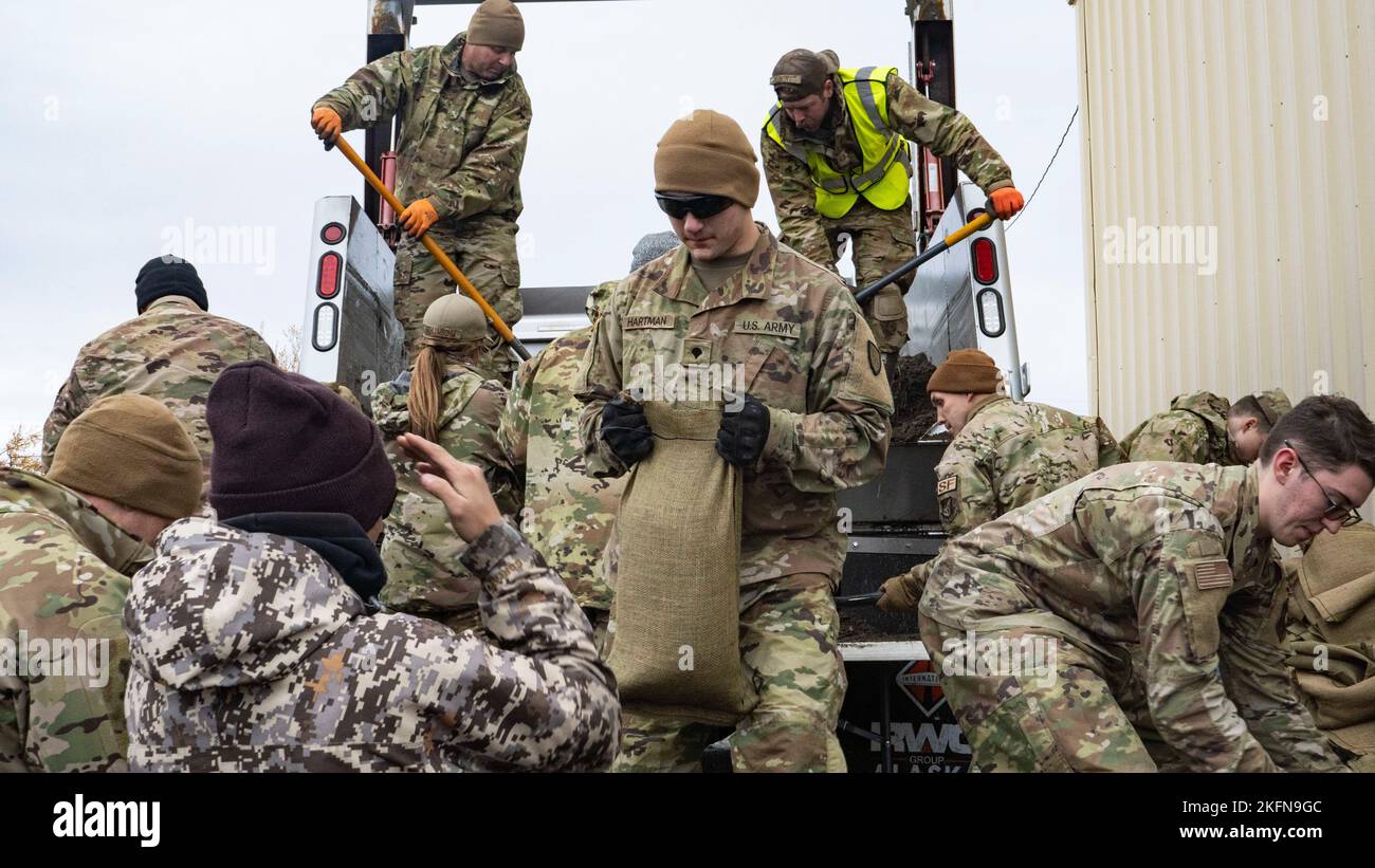 Alaska Air and Army National Guardsmen, assigned to Joint Task Force