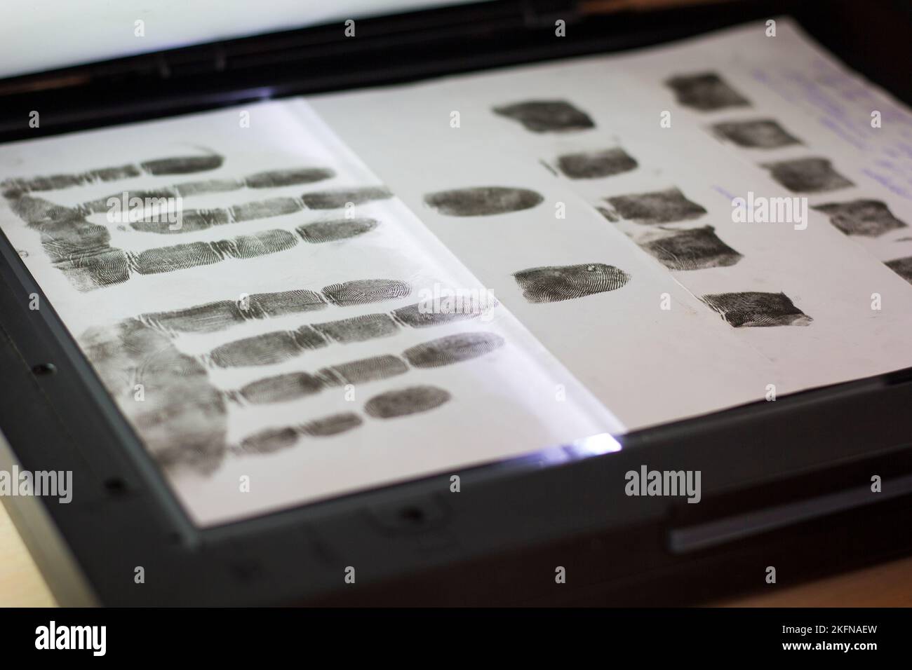 Scanning fingerprints and palms on the scanner Stock Photo - Alamy
