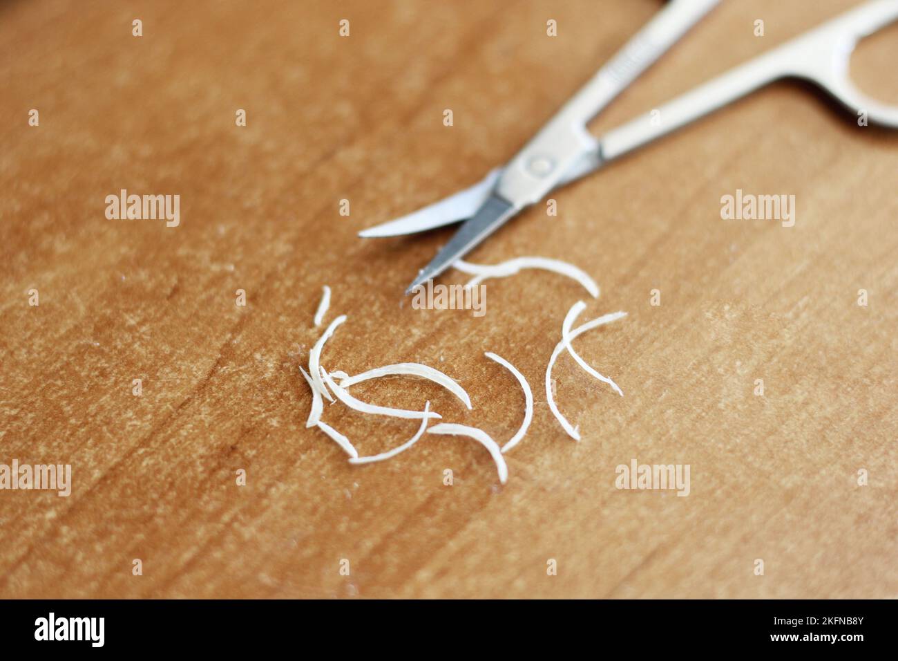 Manicure scissors with nails close up Stock Photo