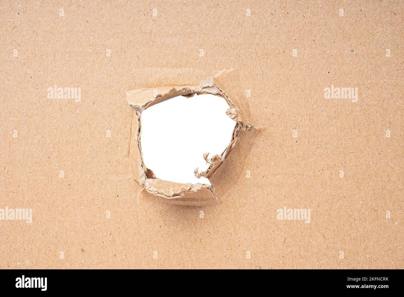 Ripped hole in cardboard on white background Stock Photo