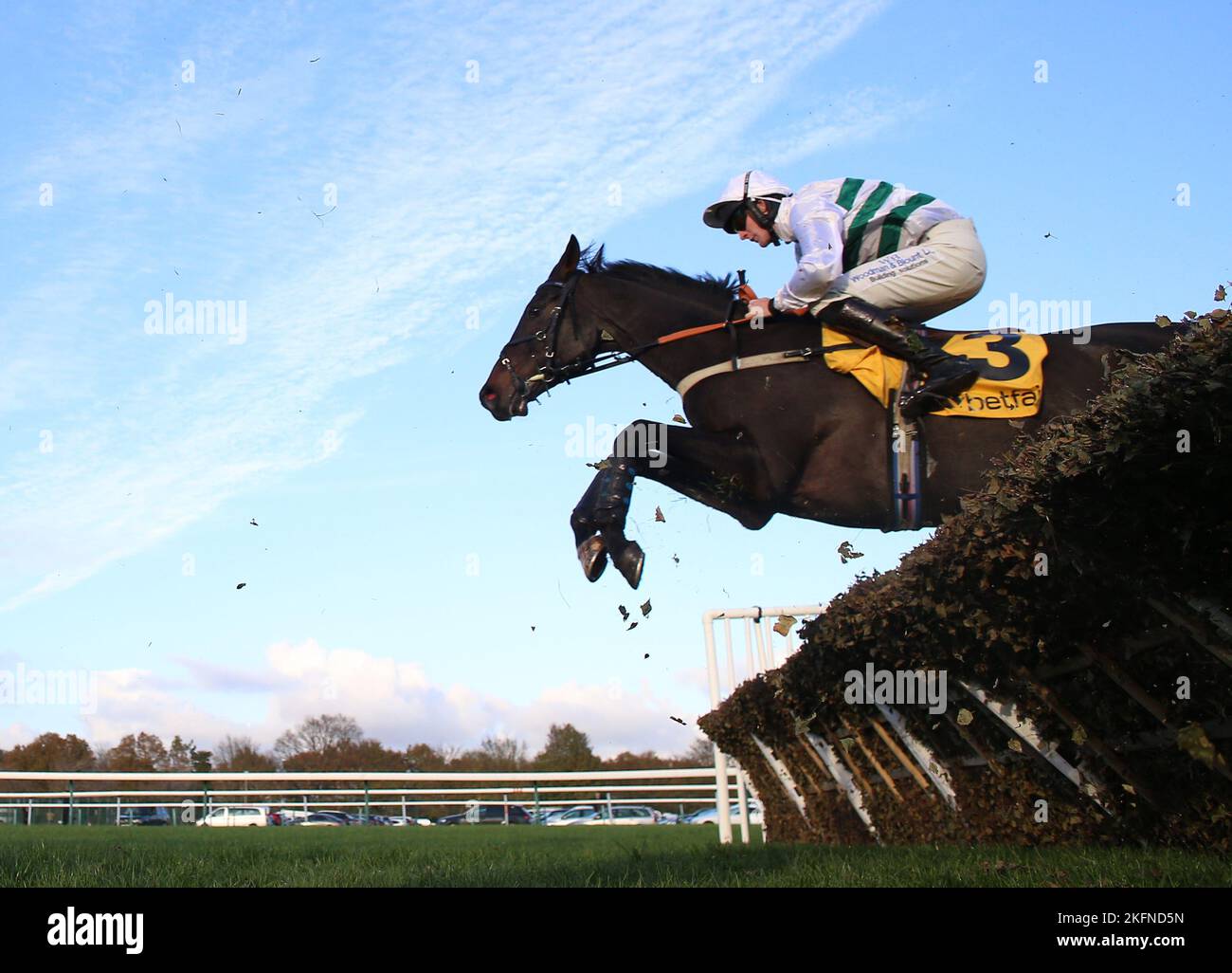Botox has racecourse hires stock photography and images Alamy