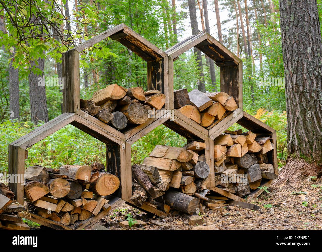 A woodpile of firewood in a clearing among trees in autumn Stock Photo