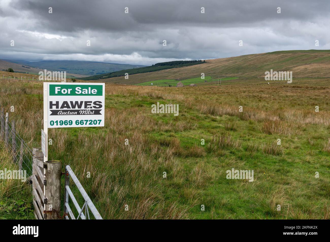 Upland peat moor for sale, North Yorkshire, UK Stock Photo Alamy