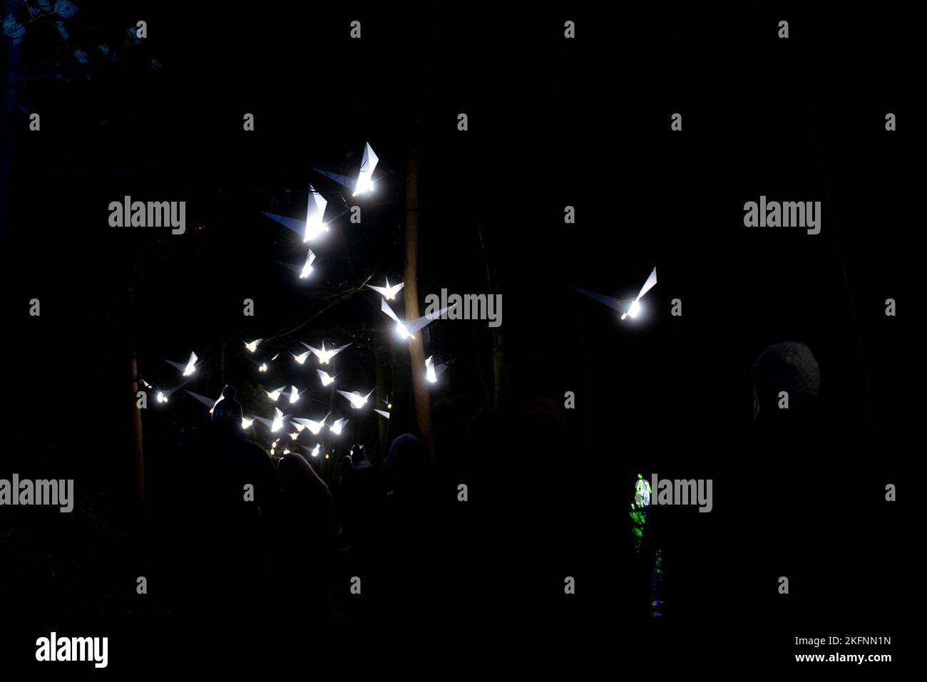 Christmas Lights at Blenheim Palace, 2020 Stock Photo Alamy