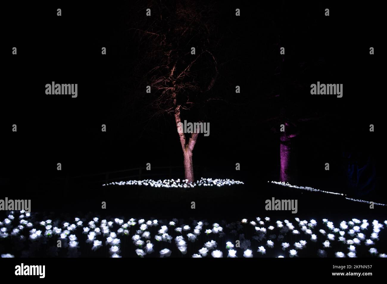 Christmas Lights at Blenheim Palace, 2020 Stock Photo Alamy