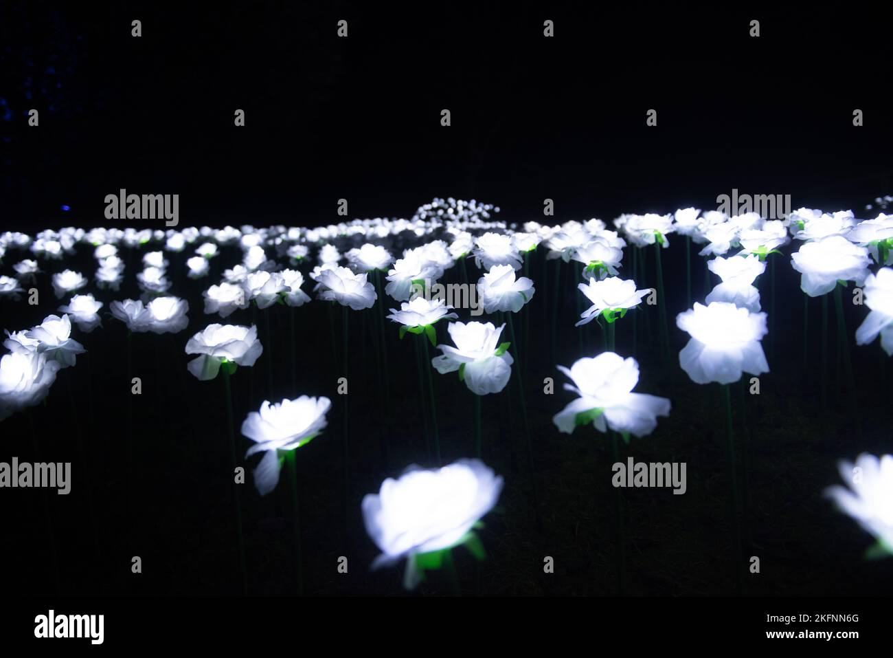 Christmas Lights at Blenheim Palace, 2020 Stock Photo Alamy