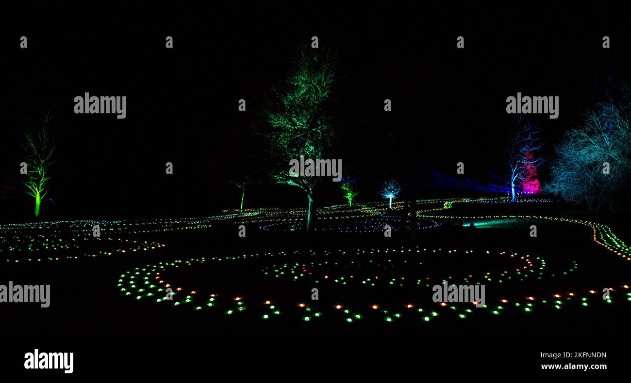 Christmas Lights at Blenheim Palace, 2020 Stock Photo Alamy