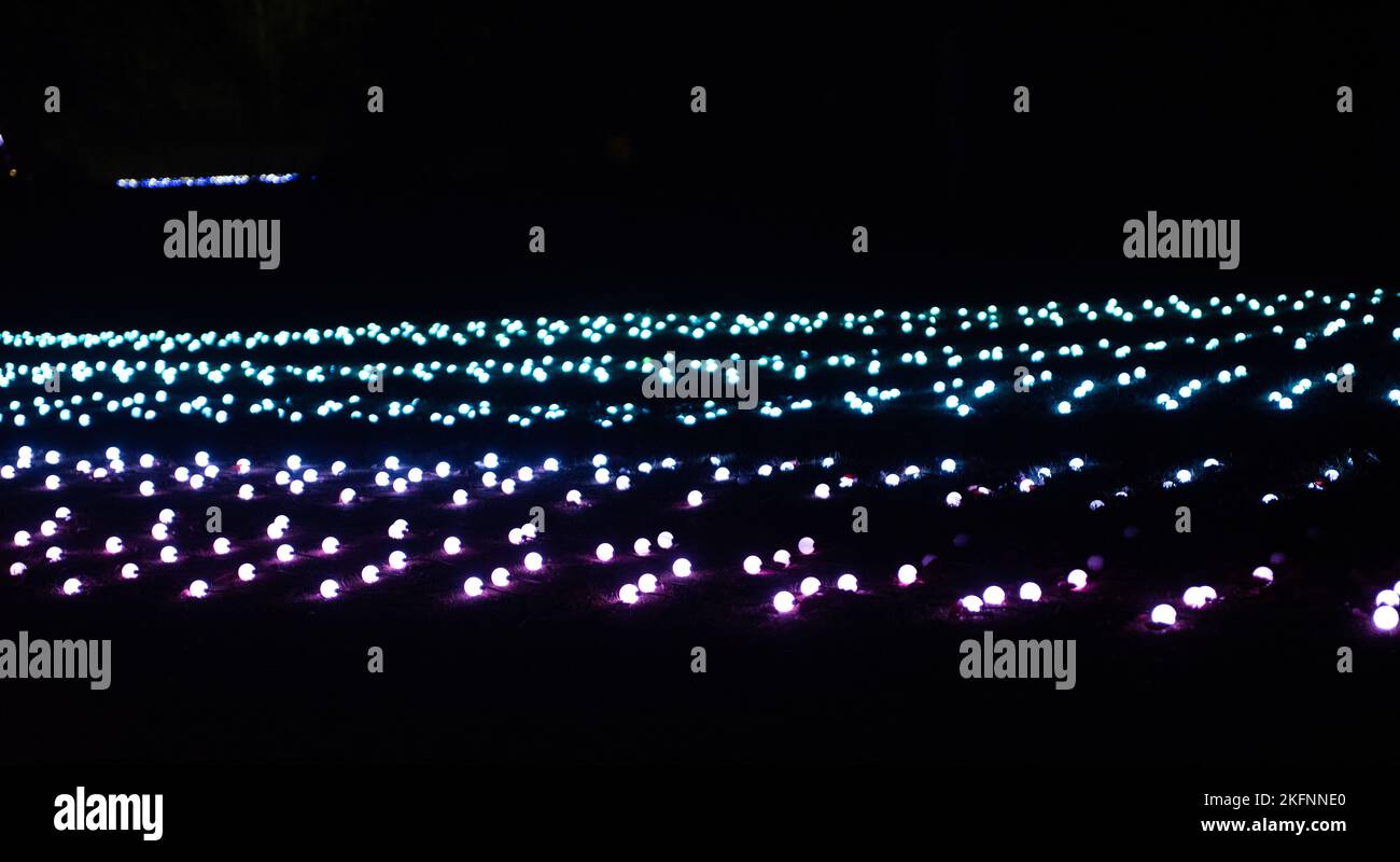 Christmas Lights at Blenheim Palace, 2020 Stock Photo Alamy