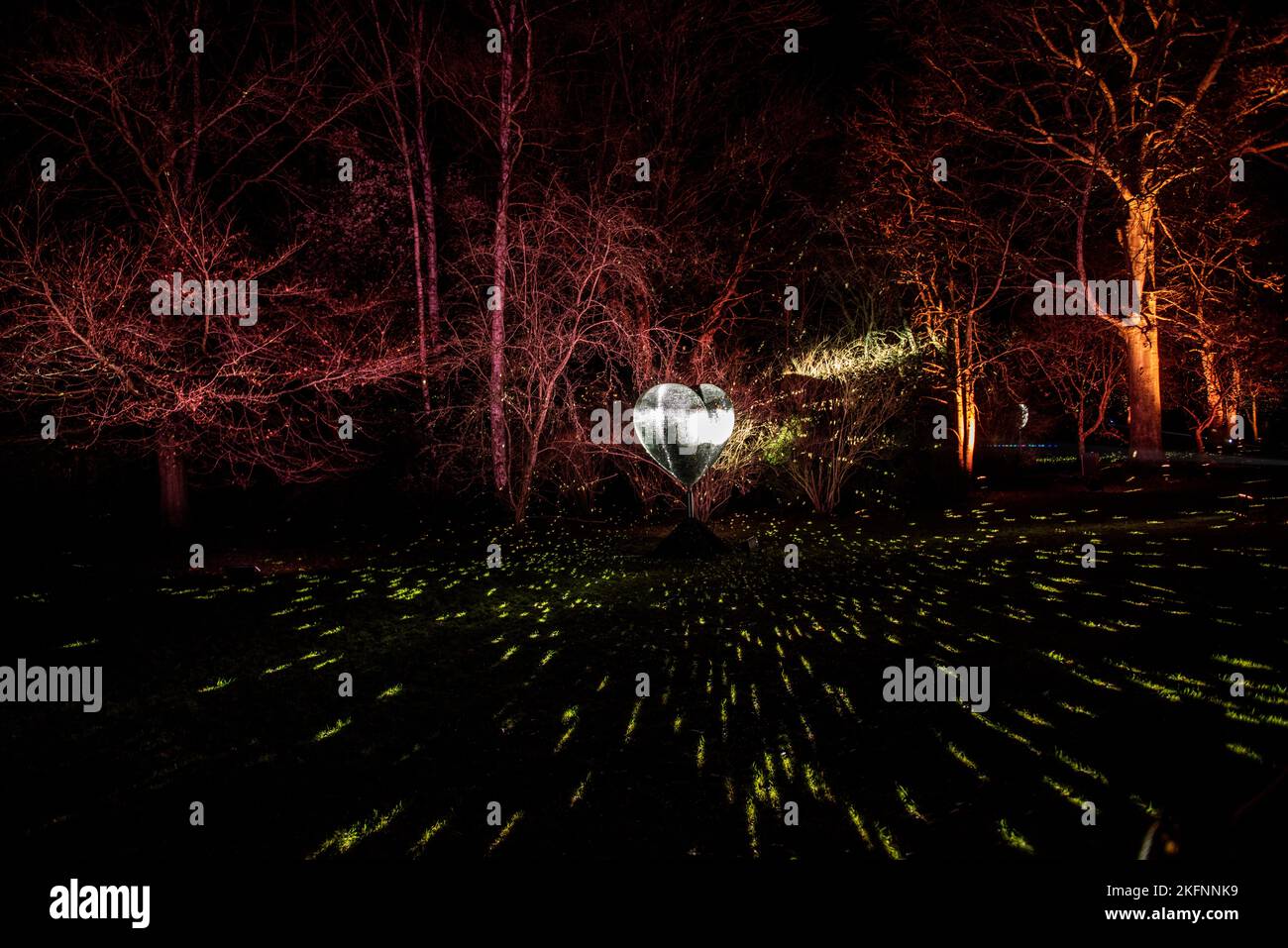 Christmas Lights at Blenheim Palace, 2020 Stock Photo Alamy