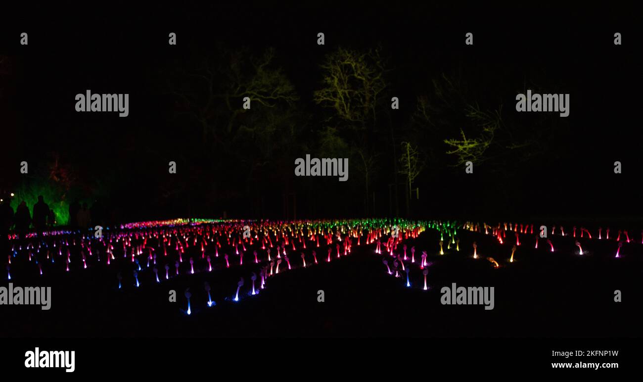 Christmas Lights at Blenheim Palace, 2020 Stock Photo Alamy