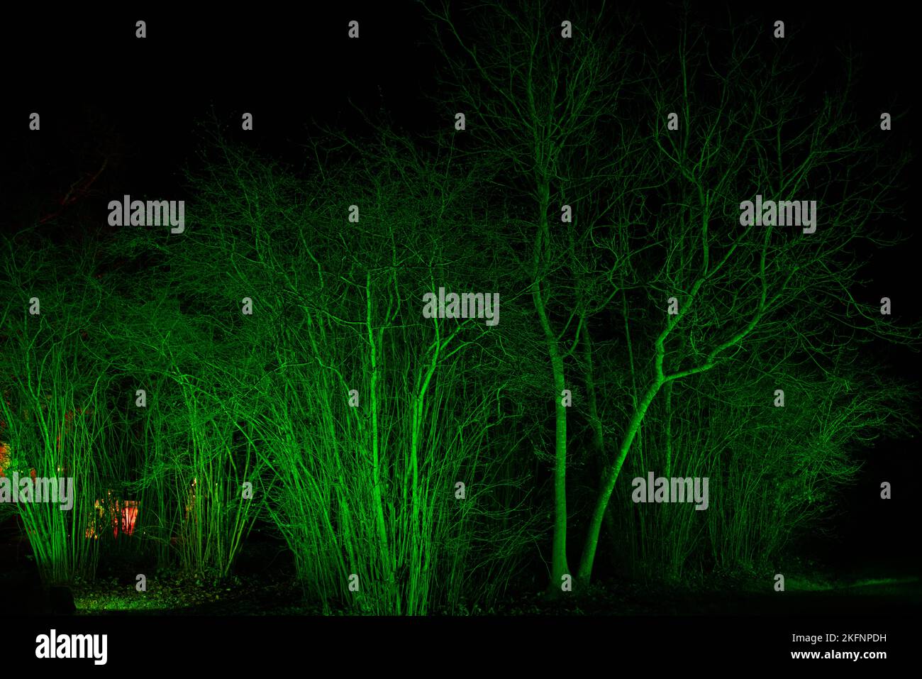 Christmas Lights at Blenheim Palace, 2020 Stock Photo Alamy