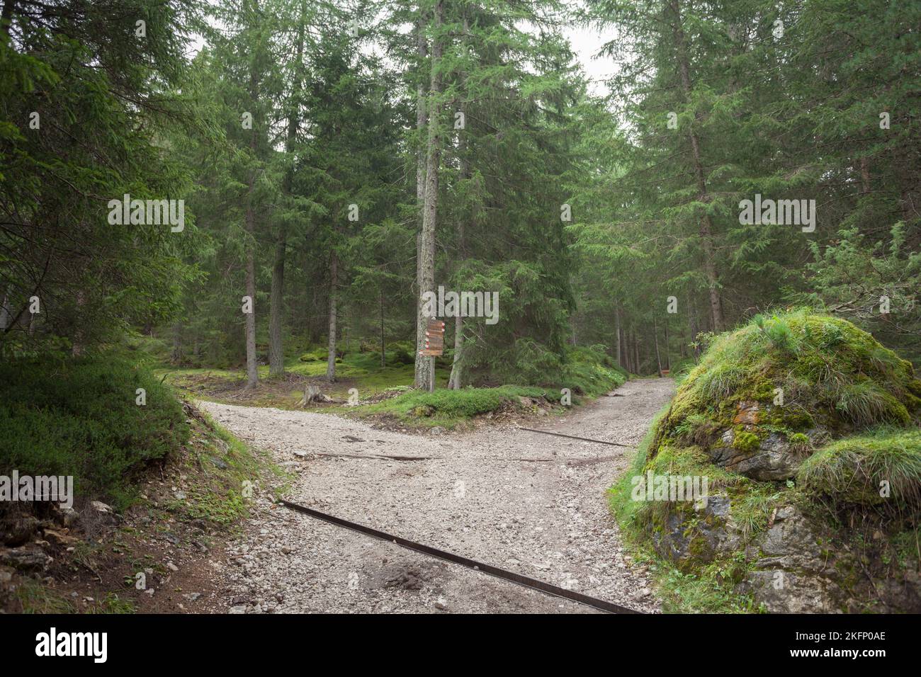 A single mountain path splits in two different directions Stock Photo