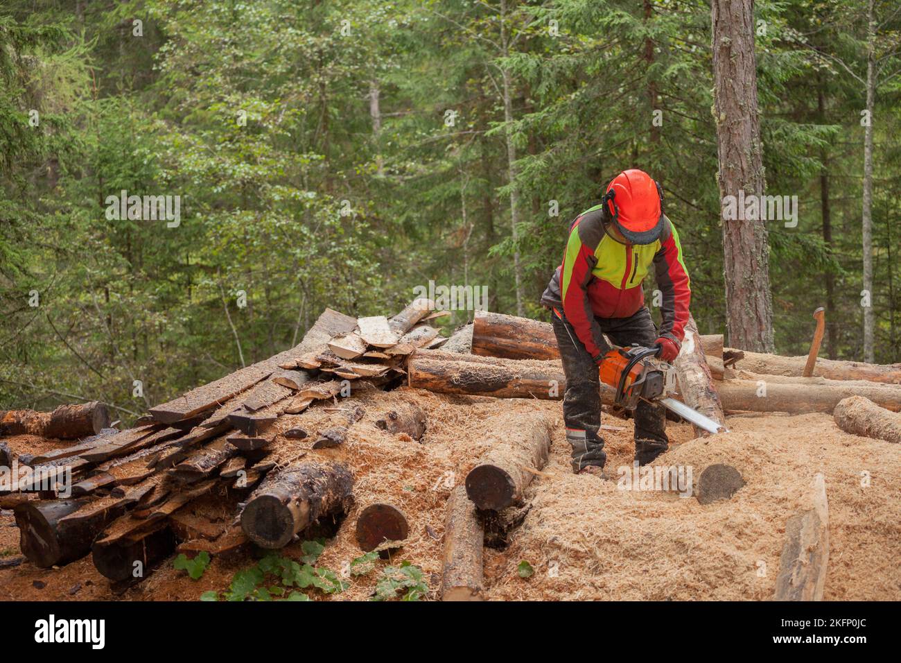 A lumberjack working safely with chainsaw and protection equipment