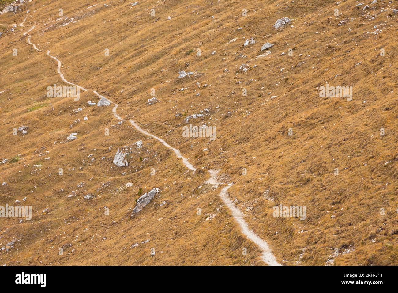 a single path long a slope in autumnal environment in the ...