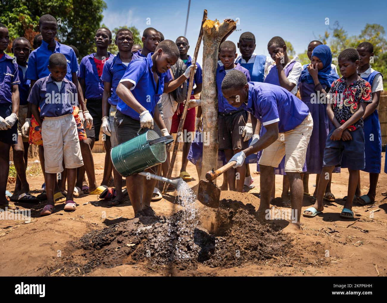 Secondary school children in Malawi demonstrate how to plant a tree, as part of their environmental conservation club Stock Photo