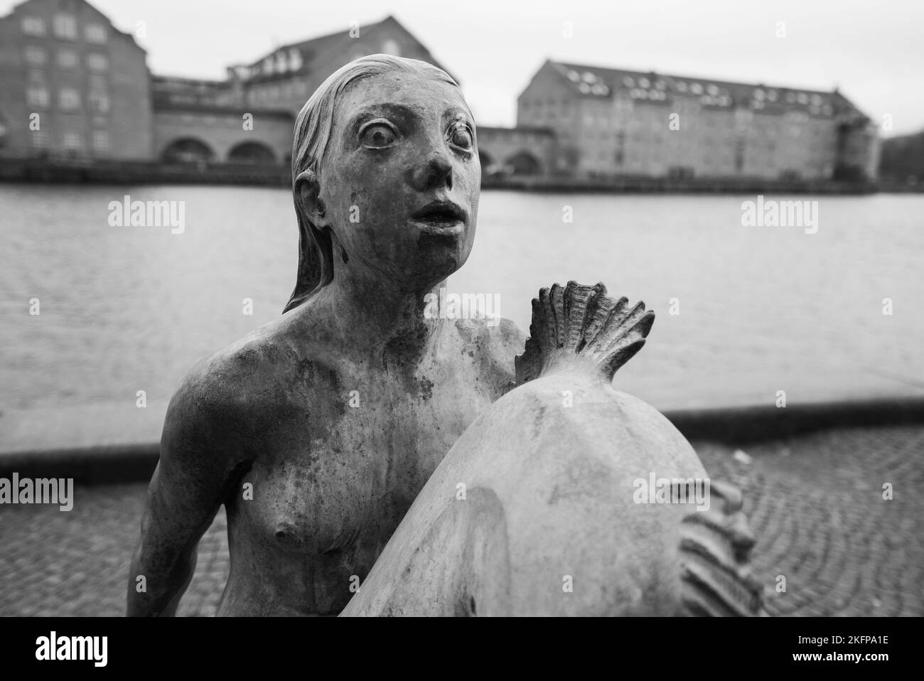 Mermaid (Carl-Nielsen) statue outside the Royal Danish Library in Copenhagen, Denmark. The Black Diamond Mermaid Statue by Anne Marie Carl-Nielsen. Stock Photo