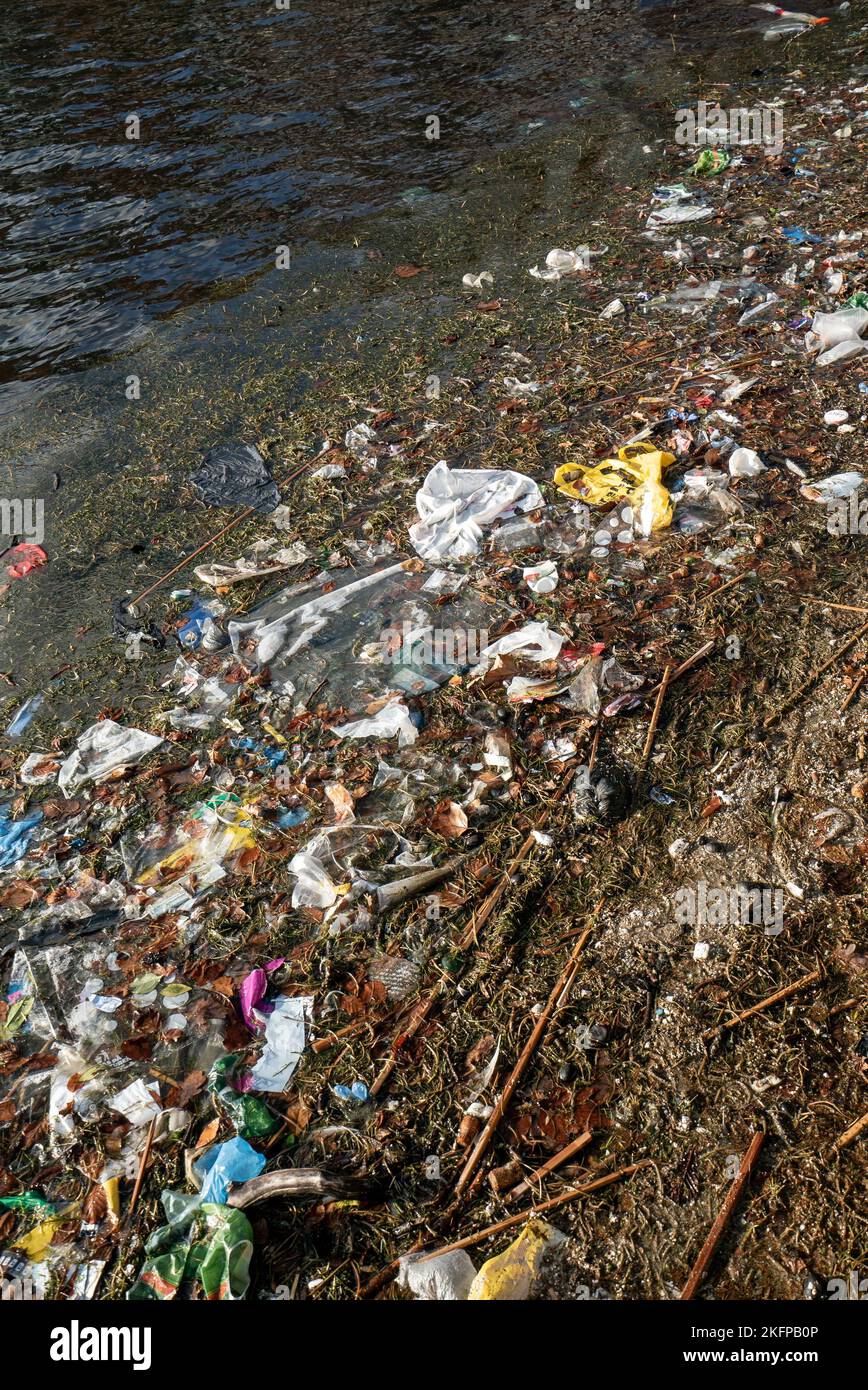 Plastic litter and other waste floating in water, washed up at