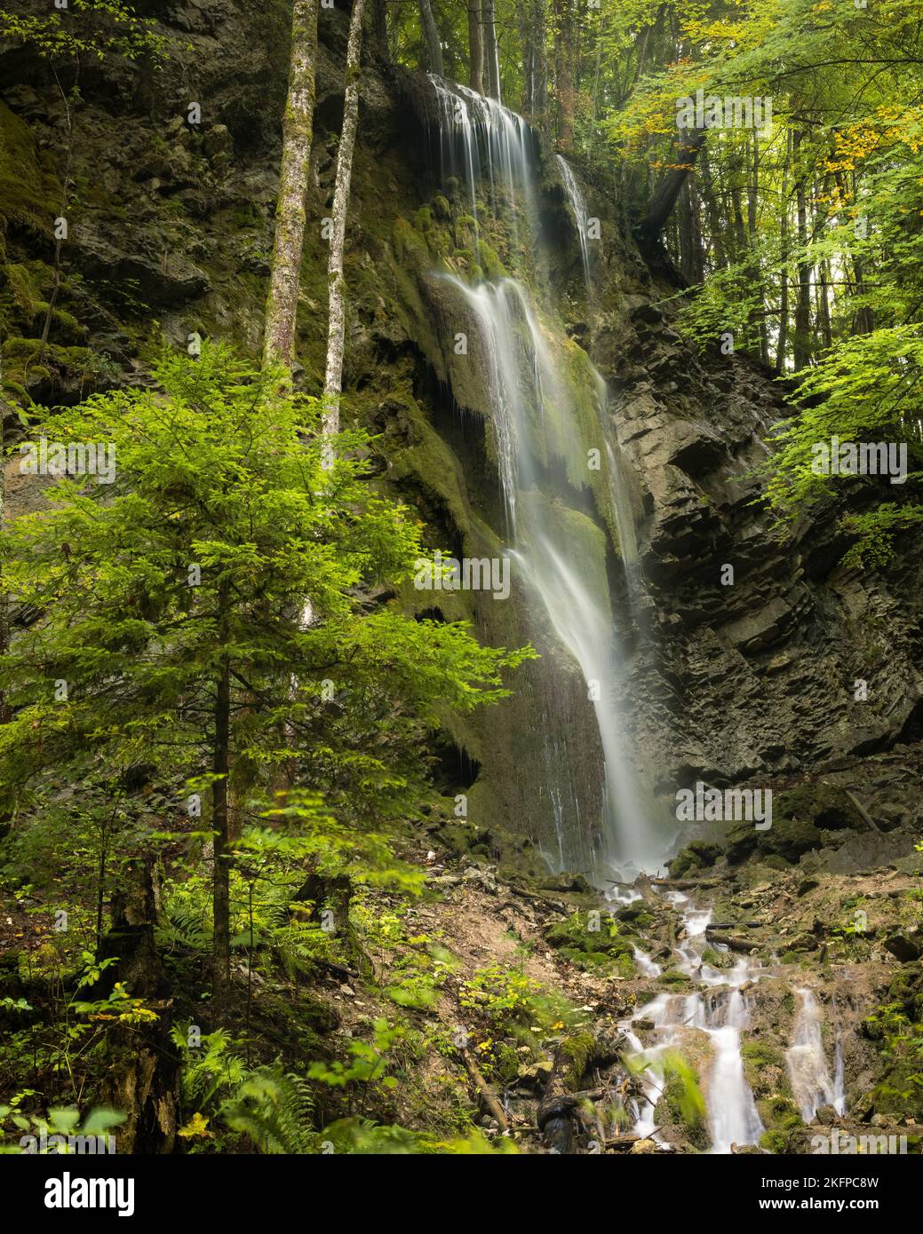Small forest waterfall in Gorges de la Jogne river canyon in Broc,  Switzerland Stock Photo