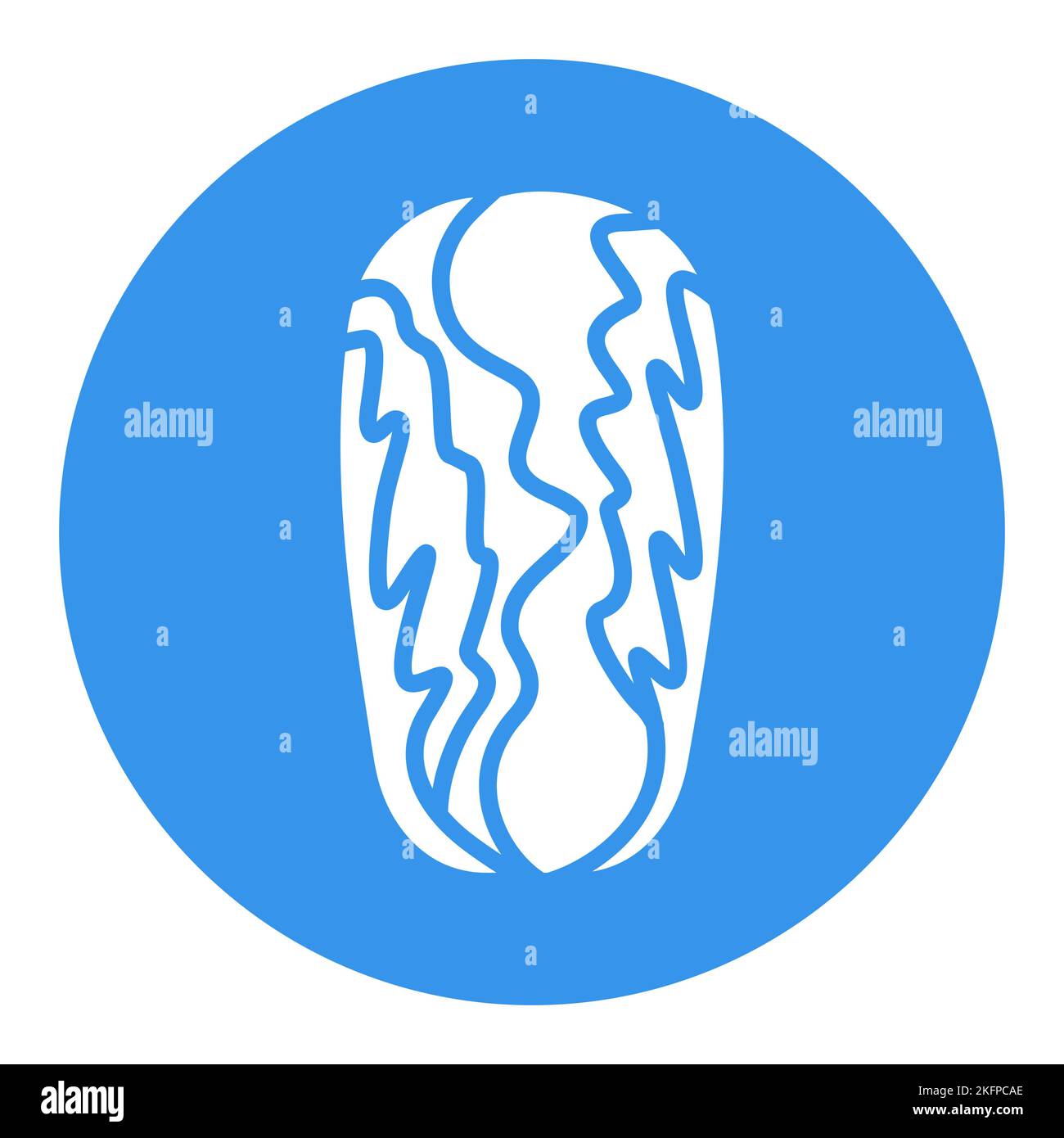 Chinese cabbage isolated vector glyph icon. Vegetable sign. Graph ...