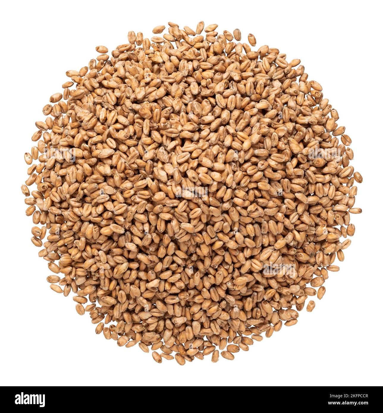Wheat malt for brewing on a white background Stock Photo Alamy