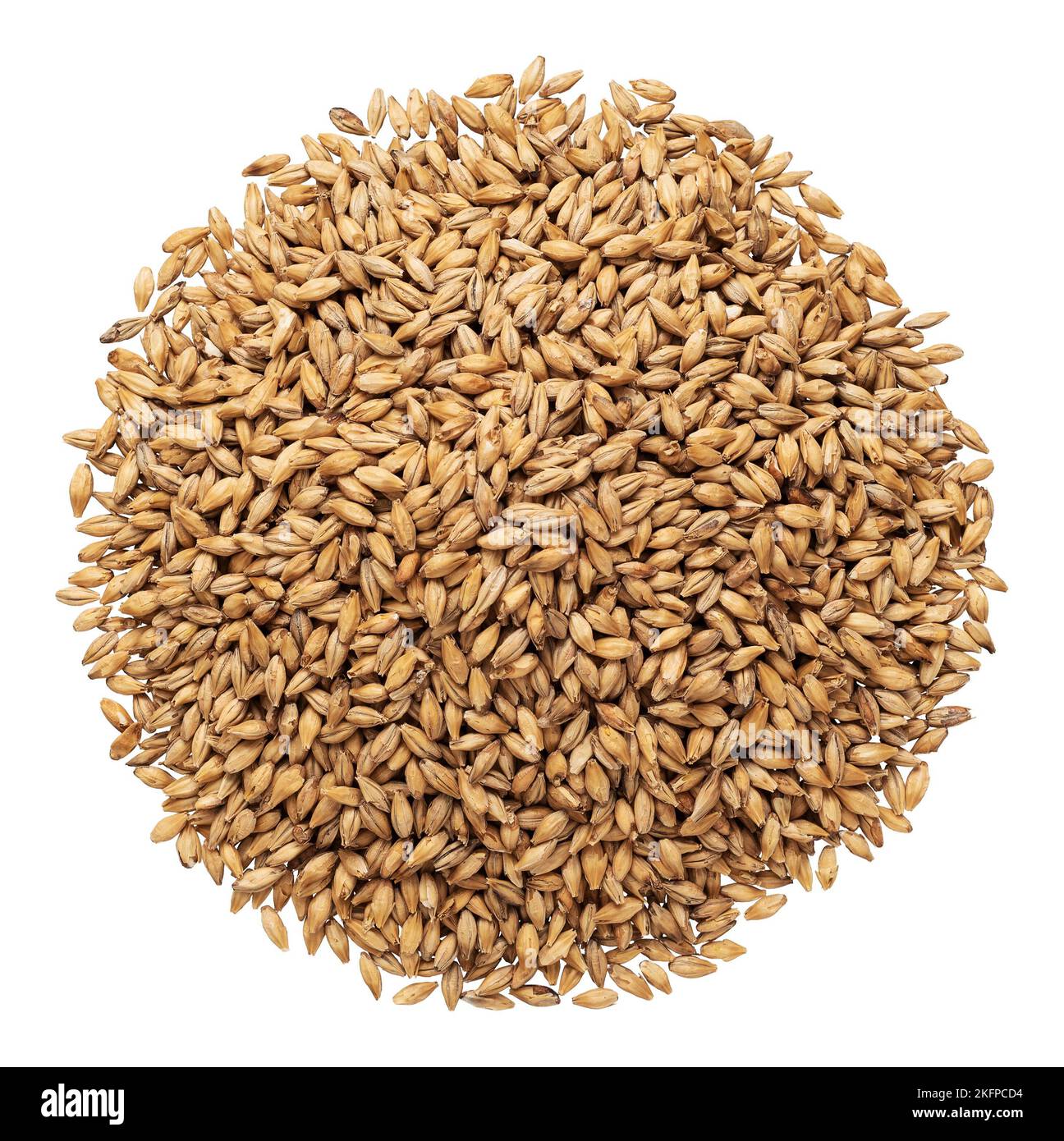 Pale ale malt for brewing Stock Photo Alamy