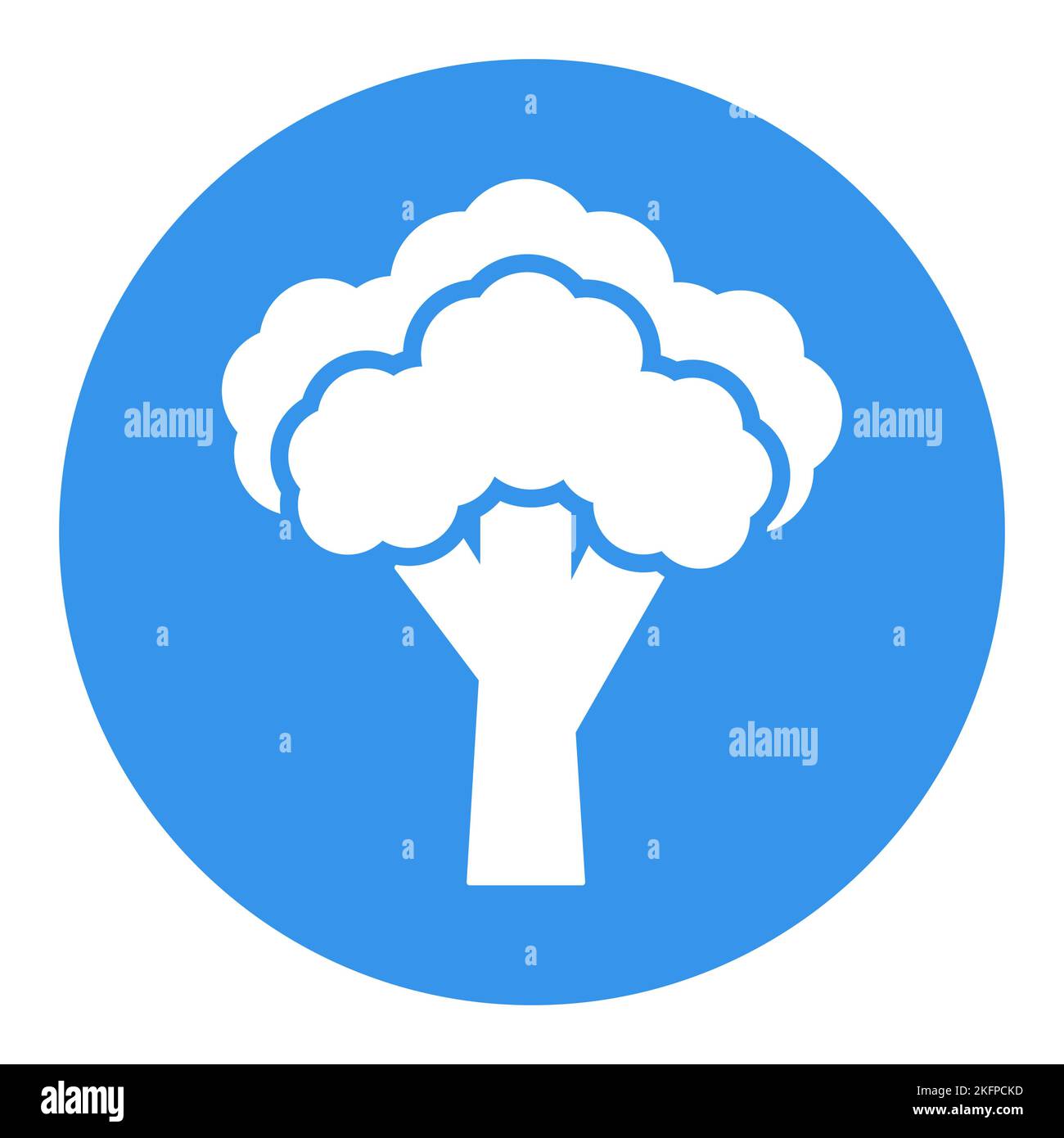 Broccoli isolated design vector glyph icon. Vegetable sign. Graph ...