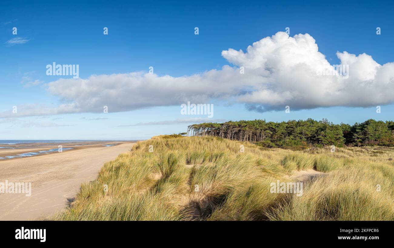 A multi image panorama of showing the empty beach, sand dunes and start of the pine woods at Formby on the Sefton coastline. Stock Photo