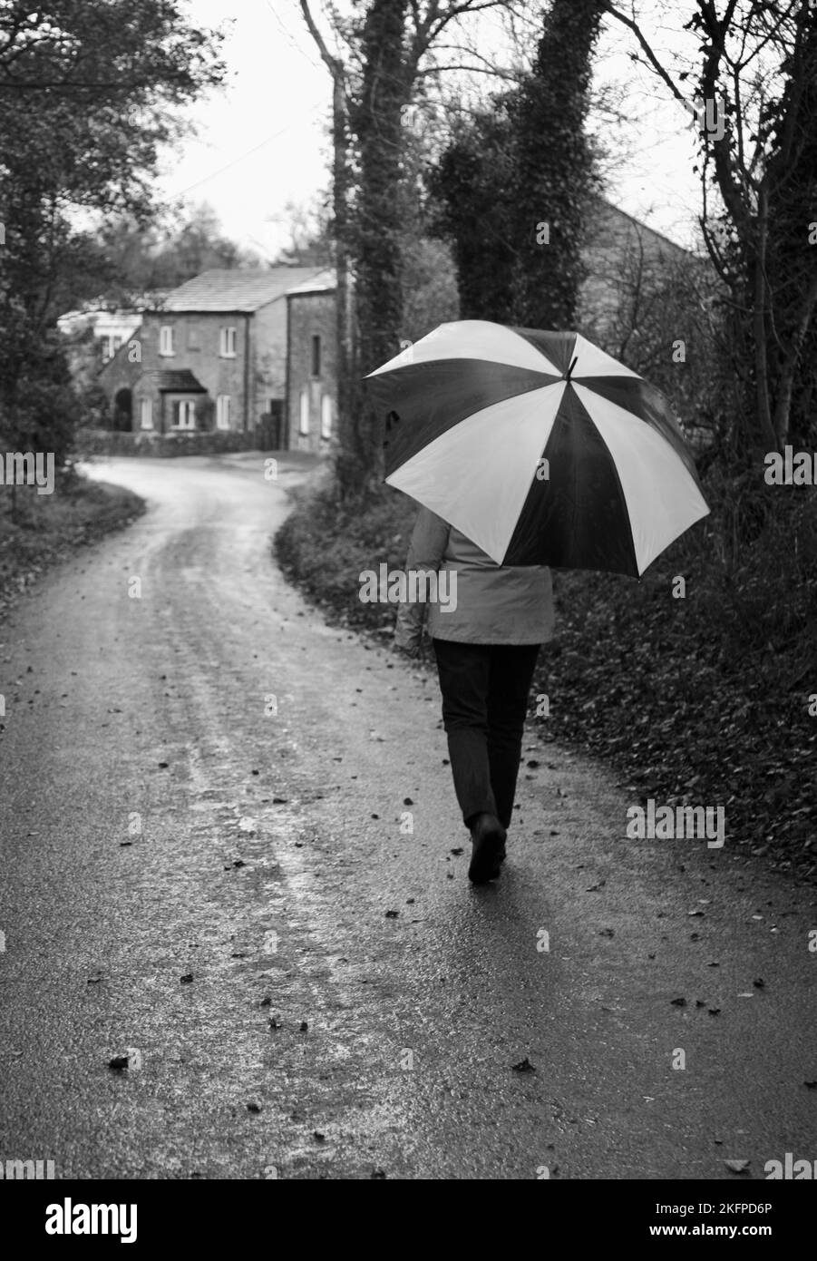 A lady walking in the rain, shielded by a huge black and white brolly Stock Photo