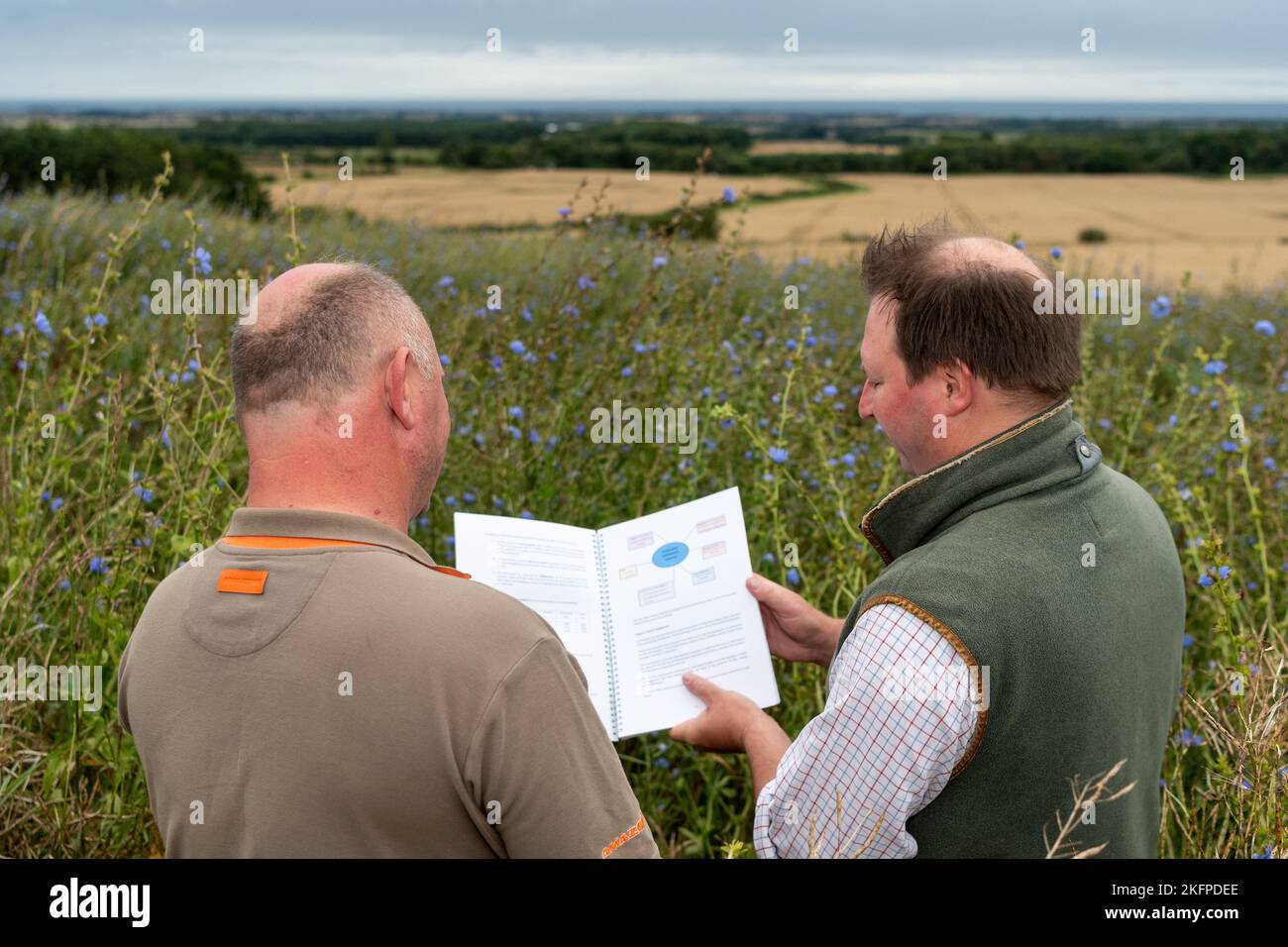 Land agent and farmer discussing farm management on an arable farm in Northumberland, UK. Stock Photo