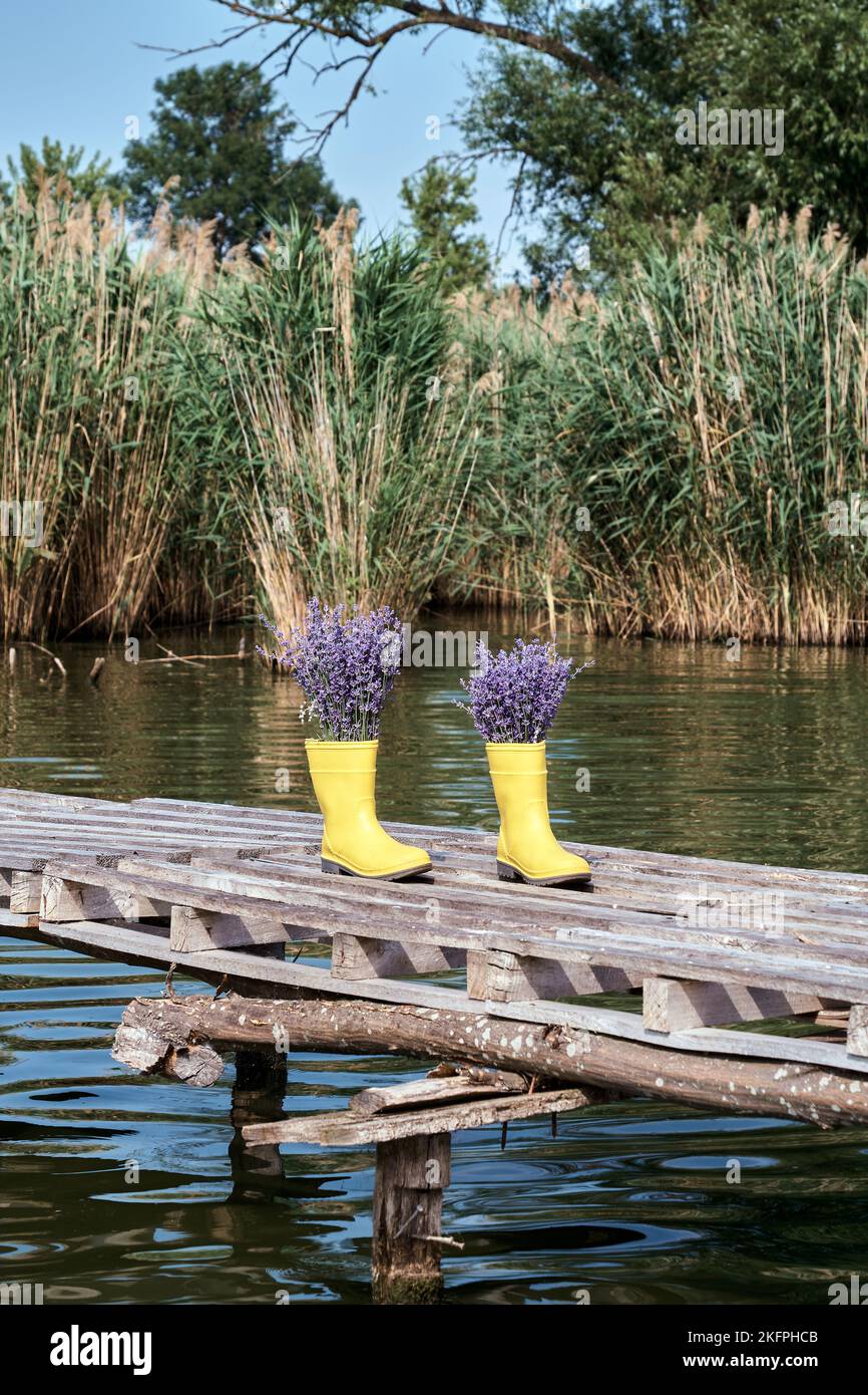 Vertical photo. Purple lavender in yellow rubber boots on a pier near a