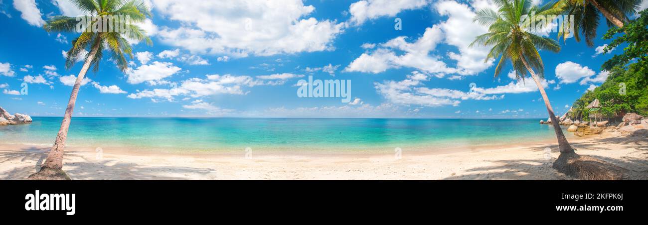 panorama of tropical beach with coconut palm trees Stock Photo - Alamy